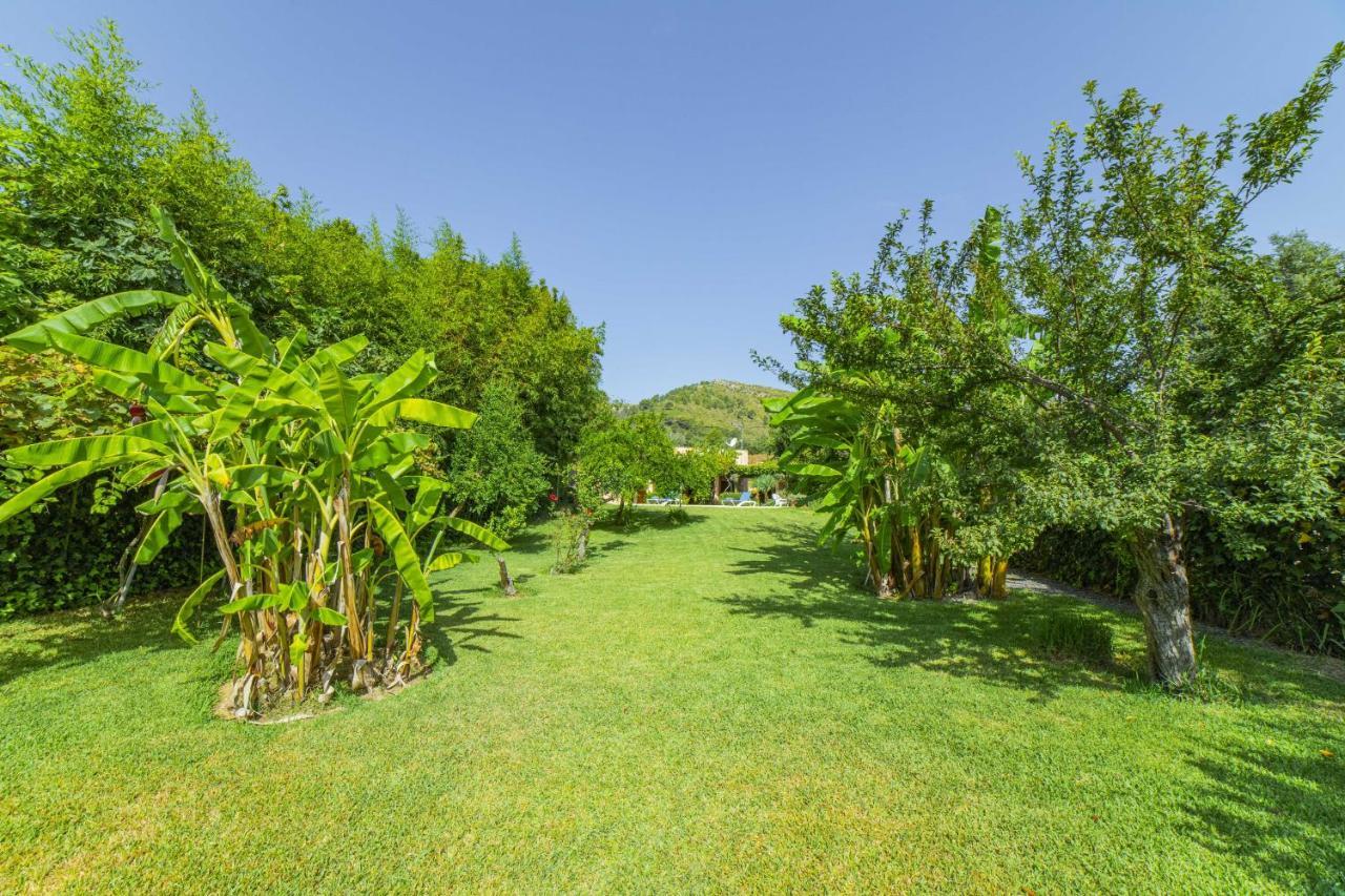 Villa Martin / Son Siurana Alcudia  Exterior photo